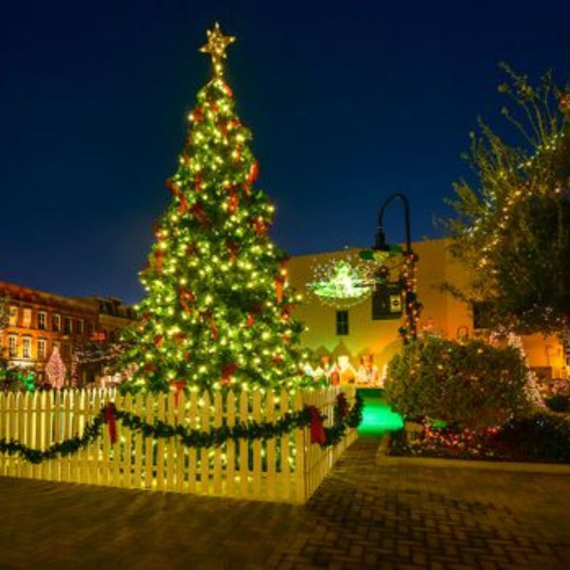 Holiday Tree Lighting in Downtown Galveston Galveston Events Sand 