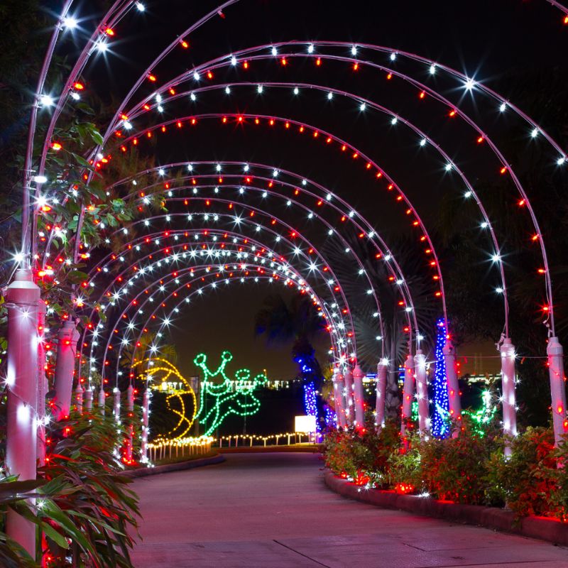 Festival of Lights Moody Gardens: A Dazzling Experience