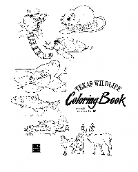 texas wildlife coloring book