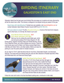 birding itinerary pdf for galveston east end