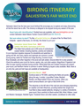 pdf guide where to bird in far west end of galveston