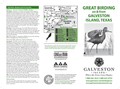 brochure related to birding in galveston texas